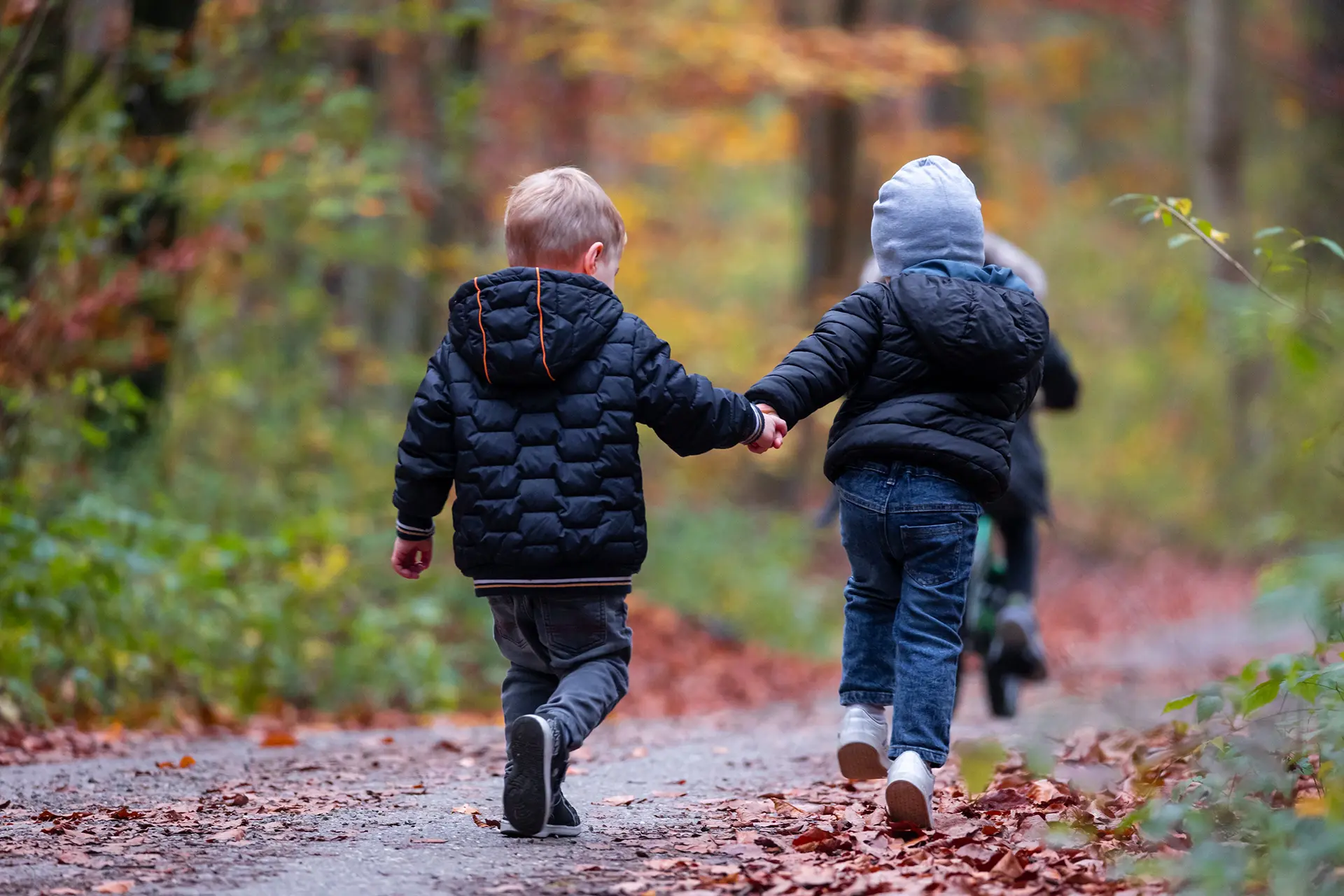 Angebote für Kindergärten